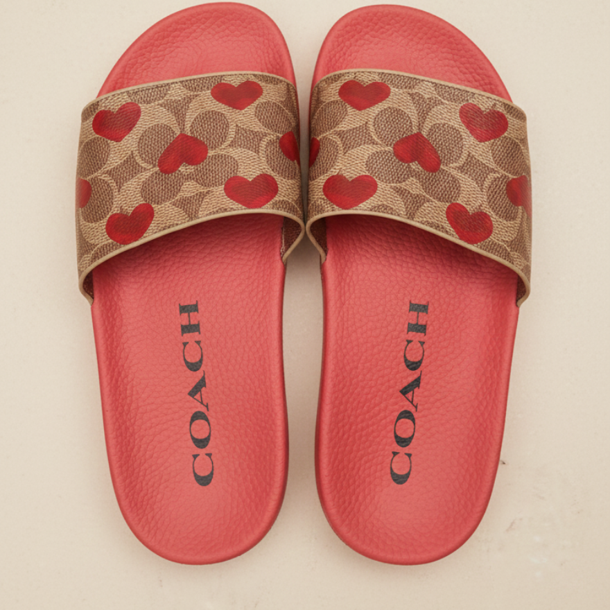 Gemini_Generated_Image_ohf4h9ohf4h9ohf4